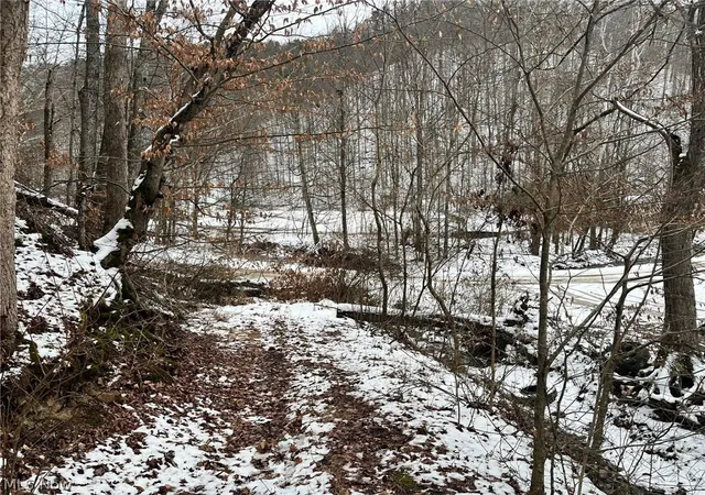 Photo 2 of Sale Pending at Rt 29/1 Grannies Crk Rd, Clendenin, WV 25266 | MLS# 5203169 | Listing updated on 2026-09-29