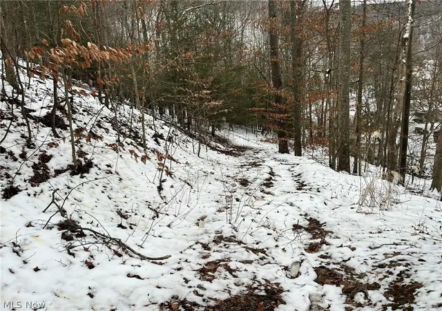 Photo 3 of Sale Pending at Rt 29/1 Grannies Crk Rd, Clendenin, WV 25266 | MLS# 5203169 | Listing updated on 2026-09-29