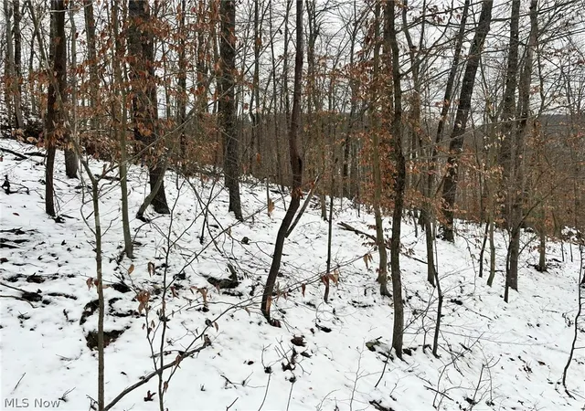 Photo 3 of Sale Pending at Rt 29/1 Grannies Crk Rd, Clendenin, WV 25266 | MLS# 5203169 | Listing updated on 2026-09-29