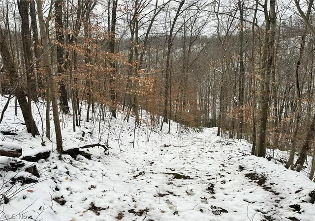 Photo 4 of Sale Pending at Rt 29/1 Grannies Crk Rd, Clendenin, WV 25266 | MLS# 5203169 | Listing updated on 2026-09-29