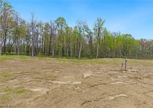 Photo 1 of Land for sale at 9527 River Birch Run, Brecksville, OH 44141 | MLS# 5207692 | Listing updated on 2026-09-11
