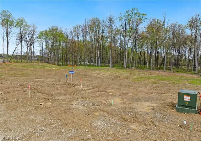 Photo 2 of Land for sale at 9527 River Birch Run, Brecksville, OH 44141 | MLS# 5207692 | Listing updated on 2026-09-11
