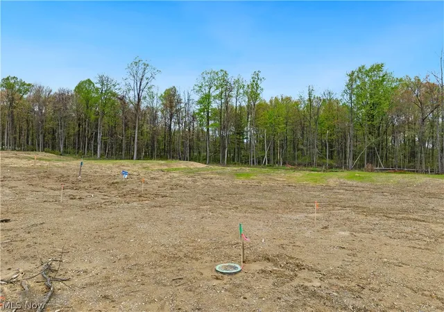 Photo 3 of Land for sale at 9531 River Birch Run, Brecksville, OH 44141 | MLS# 5207721 | Listing updated on 2026-09-11