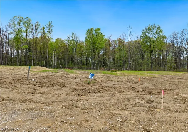 Photo 4 of Land for sale at 9531 River Birch Run, Brecksville, OH 44141 | MLS# 5207721 | Listing updated on 2026-09-11