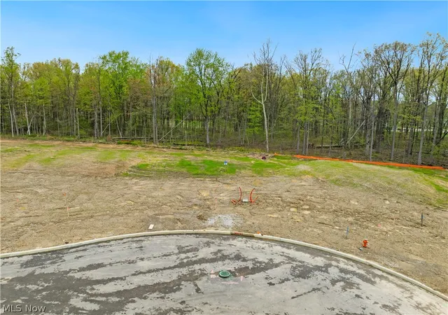 Photo 3 of Land for sale at 9533 River Birch Run, Brecksville, OH 44141 | MLS# 5207730 | Listing updated on 2026-09-11