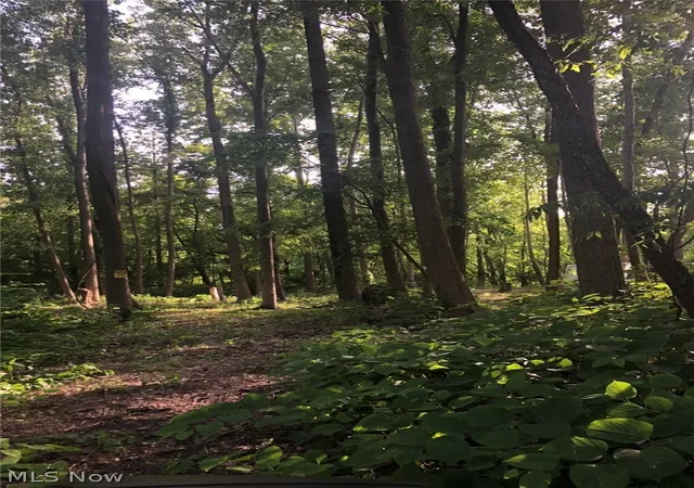Photo 3 of Land for sale at 360 Canova Dr, Coventry Township, OH 44319 | MLS# 5209757 | Listing updated on 2026-09-02