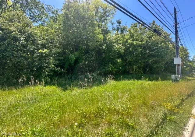 Photo 3 of Land for sale at N Ridge Rd, Madison, OH 44057 | MLS# 5214897 | Listing updated on 2026-09-11