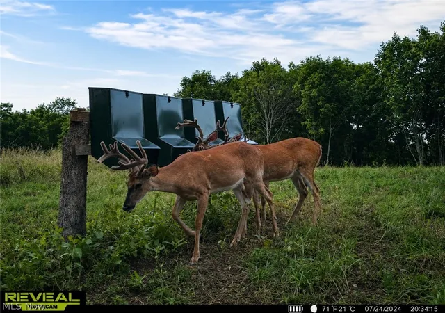 Photo 4 of Land for sale at Taylor Rd, Cambridge, OH 43725 | MLS# 5218777 | Listing updated on 2026-09-10