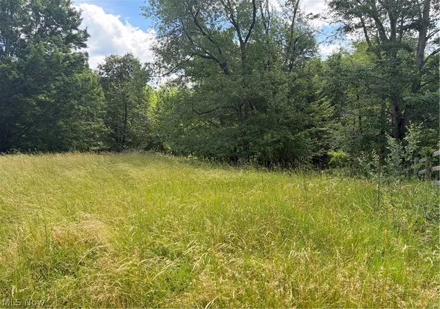 Photo 1 of Land for sale at 15441 Johnson Rd, Lisbon, OH 44432 | MLS# 5216371 | Listing updated on 2026-09-11