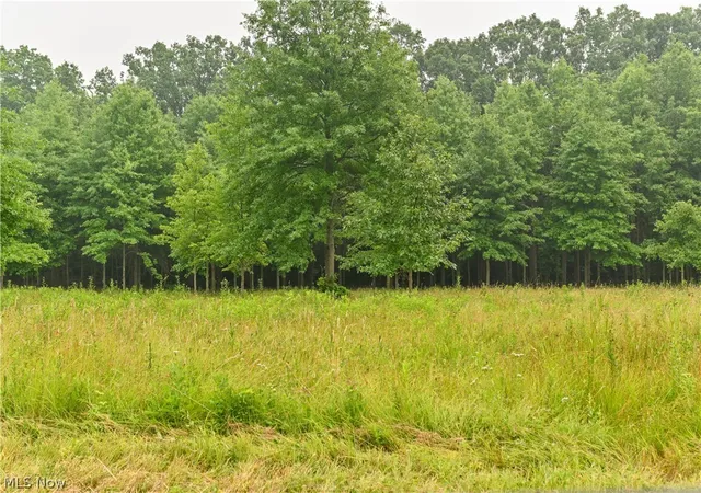 Photo 1 of Land for sale at State Route 14, Deerfield, OH 44411 | MLS# 5226600 | Listing updated on 2026-09-02
