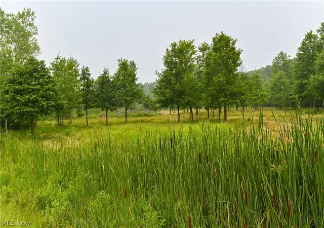 Photo 2 of Land for sale at State Route 14, Deerfield, OH 44411 | MLS# 5226600 | Listing updated on 2026-09-02