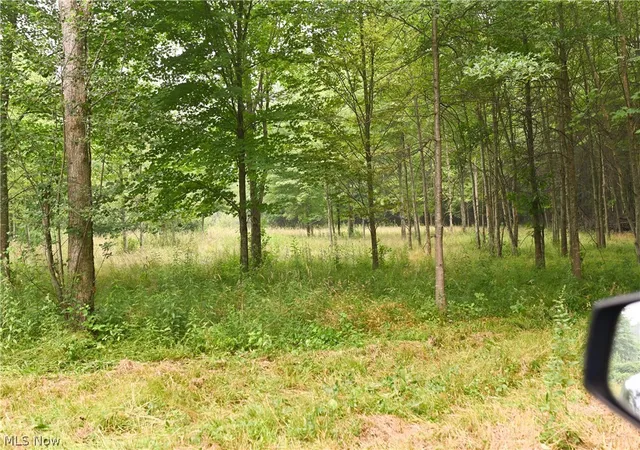 Photo 3 of Land for sale at State Route 14, Deerfield, OH 44411 | MLS# 5226600 | Listing updated on 2026-09-02