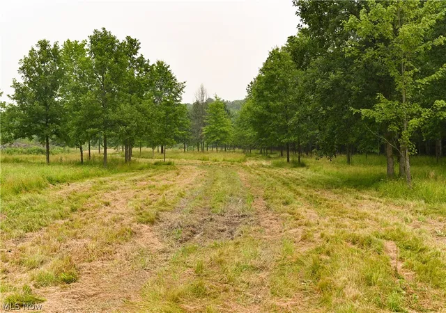 Photo 3 of Land for sale at State Route 14, Deerfield, OH 44411 | MLS# 5226600 | Listing updated on 2026-09-02