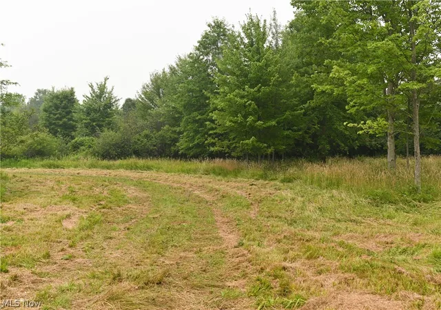 Photo 4 of Land for sale at State Route 14, Deerfield, OH 44411 | MLS# 5226600 | Listing updated on 2026-09-02