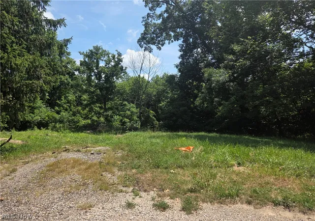 Photo 2 of Land for sale at 601 Orme Ave, Cambridge, OH 43725 | MLS# 5227045 | Listing updated on 2026-09-12