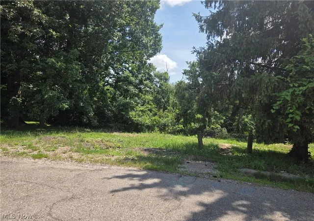 Photo 3 of Land for sale at 601 Orme Ave, Cambridge, OH 43725 | MLS# 5227045 | Listing updated on 2026-09-12