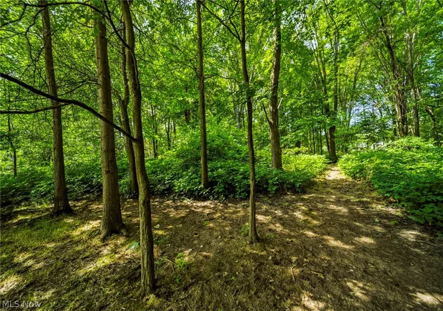 Photo 3 of Single family home for sale at 38541 Bell Rd, Willoughby, OH 44094 | MLS# 5227166 | Listing updated on 2026-09-10