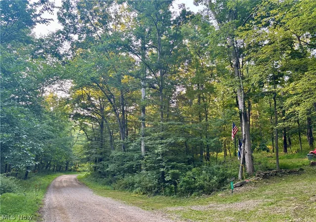 Photo 3 of Land for sale at 5620 Township Rd 212, Lakeville, OH 44638 | MLS# 5227428 | Listing updated on 2026-09-02