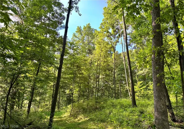 Photo 3 of Land for sale at 5620 Township Rd 212, Lakeville, OH 44638 | MLS# 5227428 | Listing updated on 2026-09-02