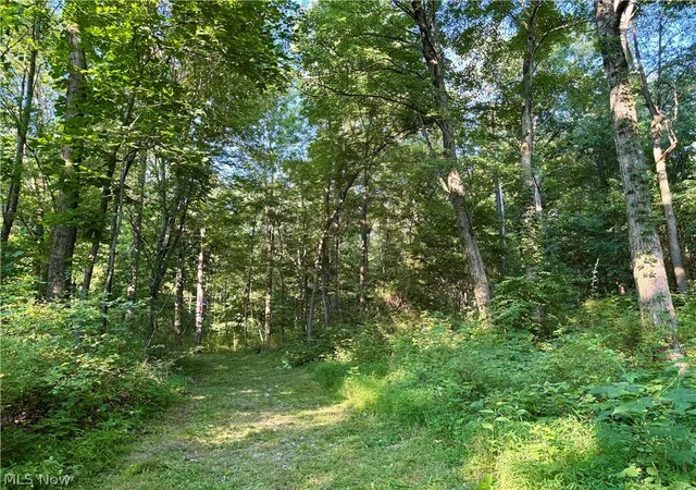Photo 4 of Land for sale at 5620 Township Rd 212, Lakeville, OH 44638 | MLS# 5227428 | Listing updated on 2026-09-02