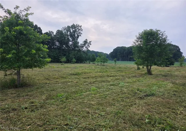 Photo 2 of Land for sale at State Route 46, North Bloomfield, OH 44450 | MLS# 5228994 | Listing updated on 2026-09-10