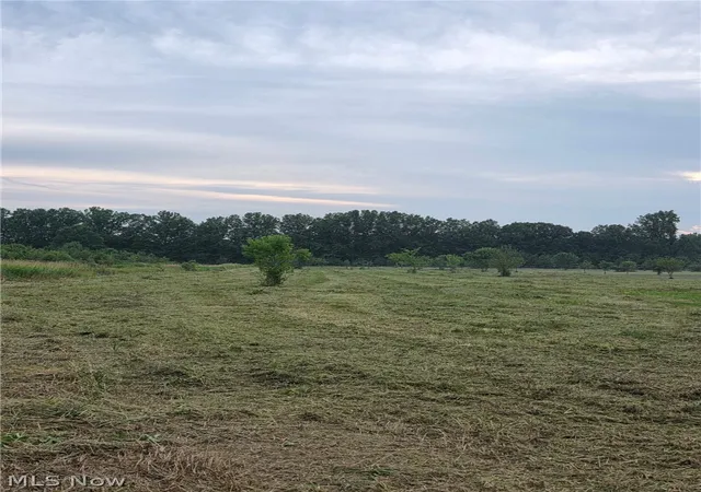 Photo 3 of Land for sale at State Route 46, North Bloomfield, OH 44450 | MLS# 5228994 | Listing updated on 2026-09-10