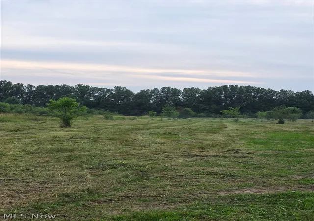 Photo 3 of Land for sale at State Route 46, North Bloomfield, OH 44450 | MLS# 5228994 | Listing updated on 2026-09-10
