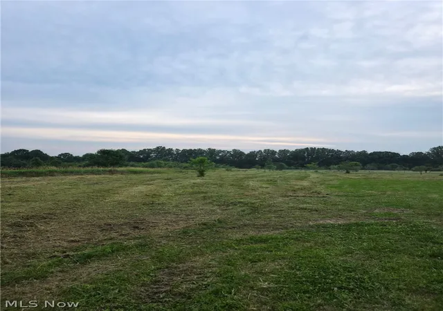 Photo 4 of Land for sale at State Route 46, North Bloomfield, OH 44450 | MLS# 5228994 | Listing updated on 2026-09-10