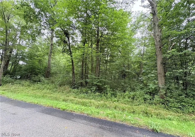 Photo 3 of Land for sale at Bon Air Ave Ne, Alliance, OH 44601 | MLS# 5233248 | Listing updated on 2026-09-05
