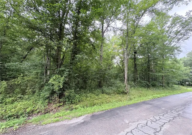 Photo 3 of Land for sale at Bon Air Ave NE, Alliance, OH 44601 | MLS# 5233248 | Listing updated on 2026-09-05
