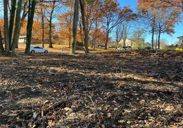 Photo 2 of Land for sale at 615 Woodview Dr, Coventry Township, OH 44319 | MLS# 5227795 | Listing updated on 2026-09-07