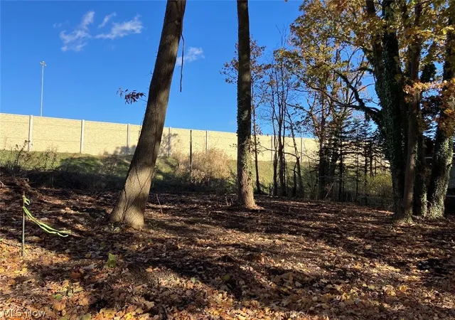 Photo 3 of Land for sale at 615 Woodview Dr, Coventry Township, OH 44319 | MLS# 5227795 | Listing updated on 2026-09-07