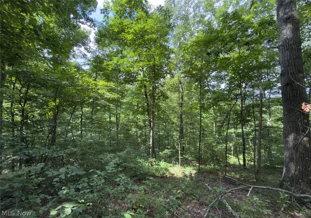 Photo 37 of Sale Pending at 0 St Rt 164, Bergholz, OH 43908 | MLS# 5235332 | Listing updated on 2026-09-25