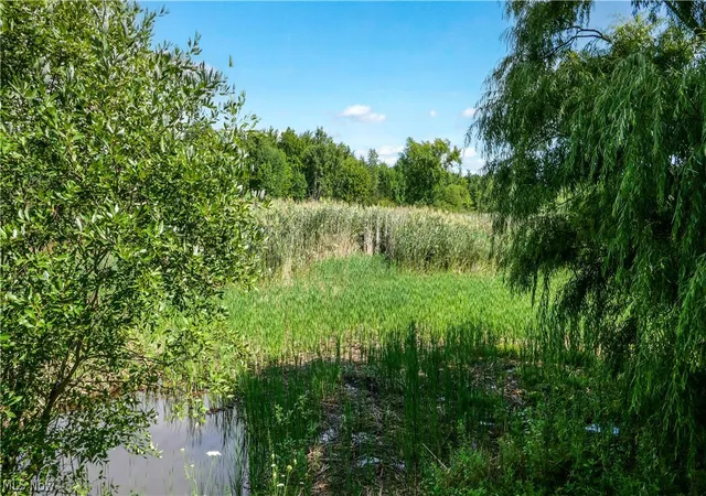 Photo 2 of Land for sale at 3237 State Route 82 Hwy, Mantua, OH 44255 | MLS# 5237554 | Listing updated on 2026-09-02