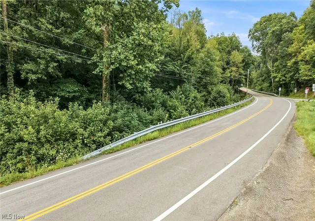 Photo 2 of Land for sale at State Route 39, Salineville, OH 43945 | MLS# 5238741 | Listing updated on 2026-09-02