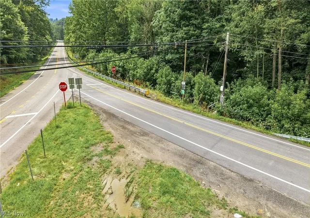 Photo 3 of Land for sale at State Route 39, Salineville, OH 43945 | MLS# 5238741 | Listing updated on 2026-09-02