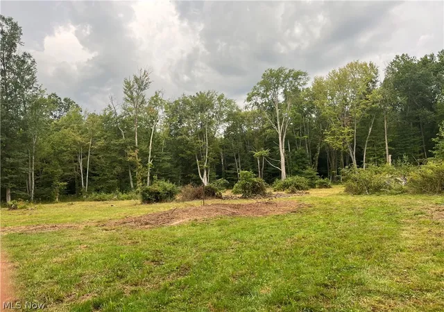 Photo 4 of Land for sale at Royalton Rd #026, Columbia Station, OH 44028 | MLS# 5239108 | Listing updated on 2026-09-04