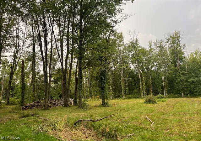 Photo 4 of Land for sale at Royalton Rd #045, Columbia Station, OH 44028 | MLS# 5239130 | Listing updated on 2026-09-04
