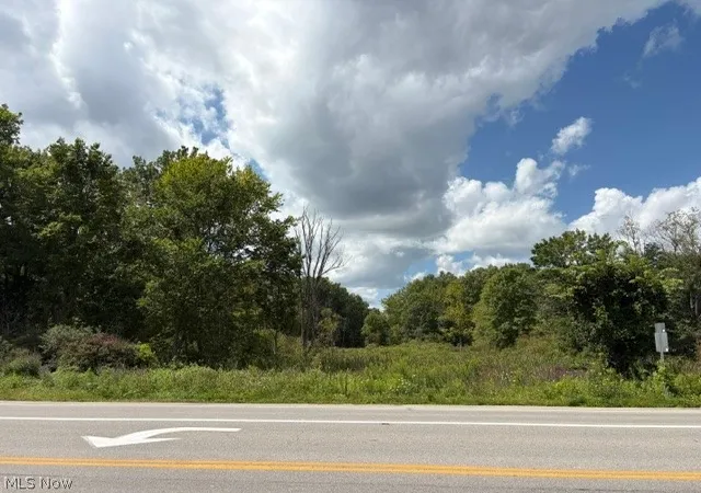 Land for sale at 0 Portage Line Rd, Akron, OH 44312 | MLS# 5240688