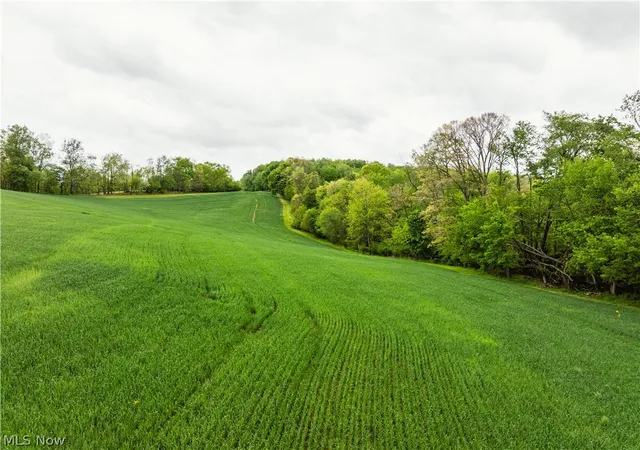 Photo 3 of Sale Pending at Trace 240, Fresno, OH 43824 | MLS# 5239949 | Listing updated on 2026-09-30