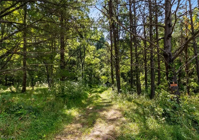 Photo 2 of Land for sale at 3508 Left Frk Rd, Lucasville, OH 45648 | MLS# 5239860 | Listing updated on 2026-09-09