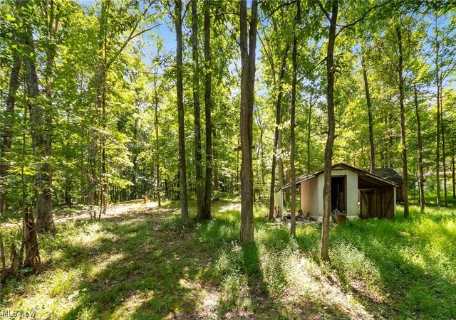 Photo 3 of Land for sale at 3508 Left Frk Rd, Lucasville, OH 45648 | MLS# 5239860 | Listing updated on 2026-09-09