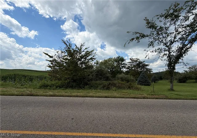 Photo 4 of Land for sale at 3665 County Rd 58, Millersburg, OH 44654 | MLS# 5241347 | Listing updated on 2026-09-22