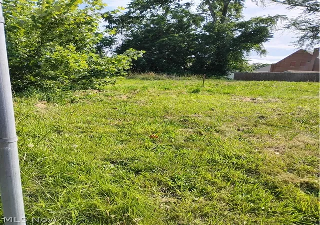Photo 4 of Land for sale at 764 Harrison Ave, Akron, OH 44314 | MLS# 5241551 | Listing updated on 2026-09-26