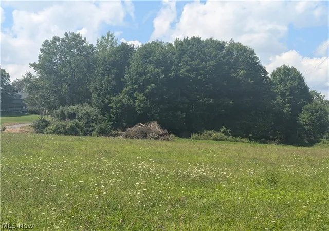 Photo 3 of Land for sale at St Route 44, Mantua, OH 44255 | MLS# 5241236 | Listing updated on 2026-09-17
