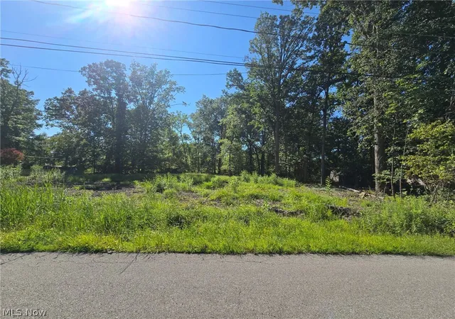 Photo 1 of Land for sale at V/l Idlewood Ave, Sheffield Lake, OH 44054 | MLS# 5241388 | Listing updated on 2026-09-02