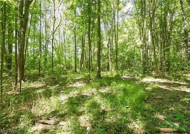 Photo 3 of Land for sale at 3279 Ridgewood Rd, Fairlawn, OH 44333 | MLS# 5241471 | Listing updated on 2026-09-16
