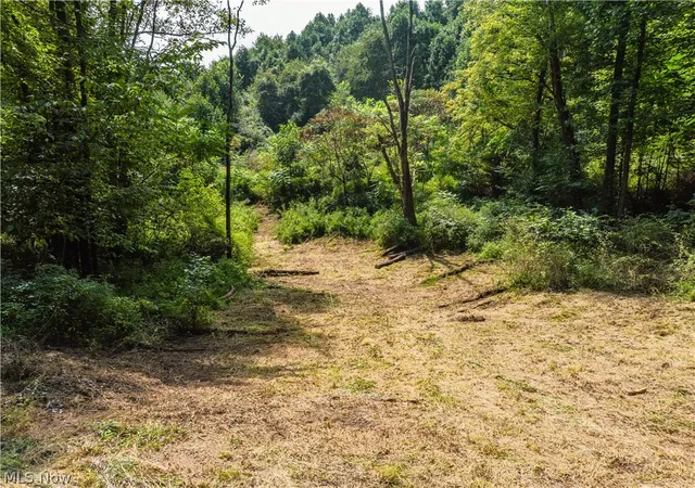 Photo 1 of Land for sale at Luneman Rd, Scio, OH 43988 | MLS# 5241612 | Listing updated on 2026-10-02