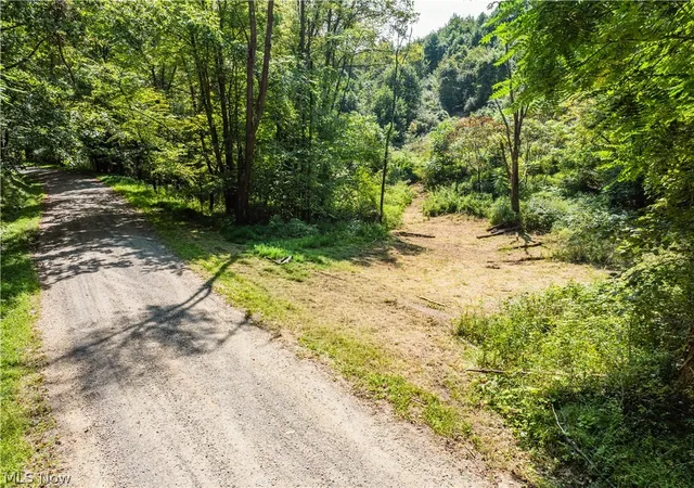 Photo 2 of Land for sale at Luneman Rd, Scio, OH 43988 | MLS# 5241612 | Listing updated on 2026-10-02