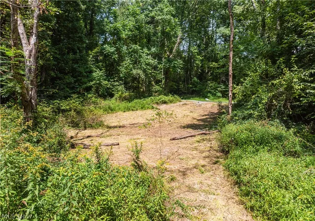 Photo 3 of Land for sale at Luneman Rd, Scio, OH 43988 | MLS# 5241612 | Listing updated on 2026-10-02
